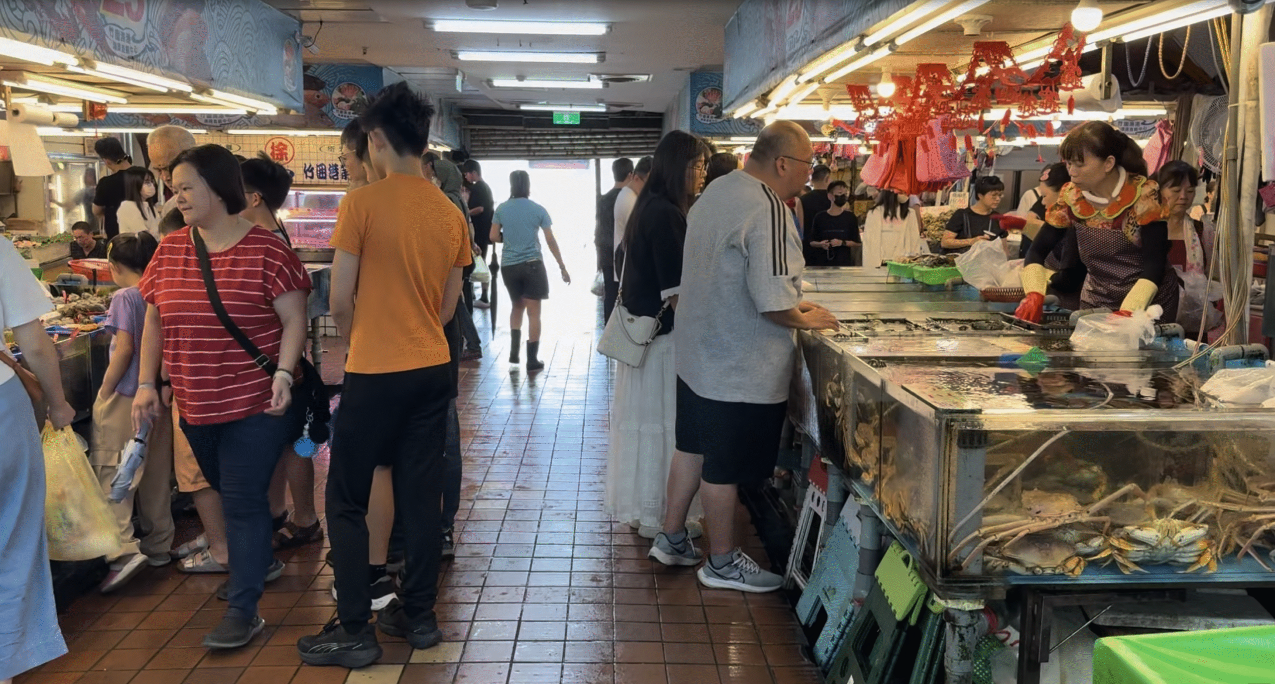 竹圍漁港親子半日遊攻略｜停車交通美食完整指南