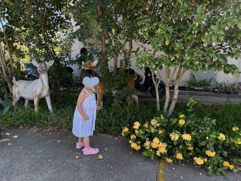 女孩與模型梅花鹿